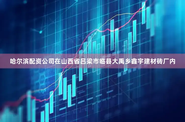 哈尔滨配资公司在山西省吕梁市临县大禹乡鑫宇建材砖厂内
