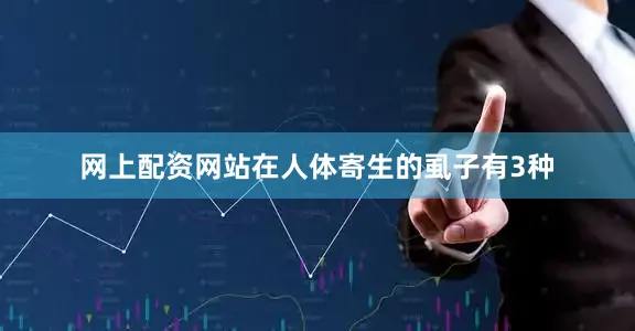 网上配资网站在人体寄生的虱子有3种