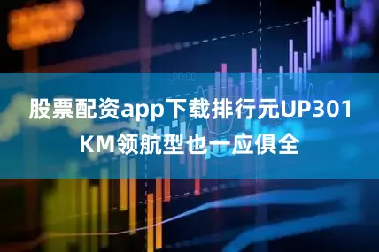 股票配资app下载排行元UP301KM领航型也一应俱全